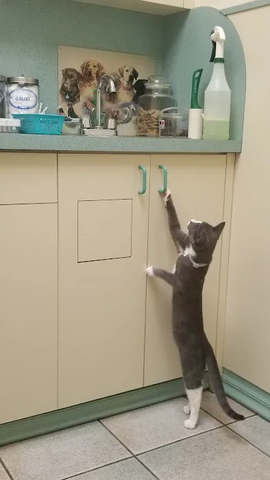 Riverdale Animal Hospital 5