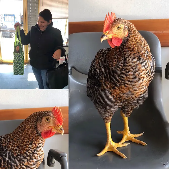 Riverdale Animal Hospital 9