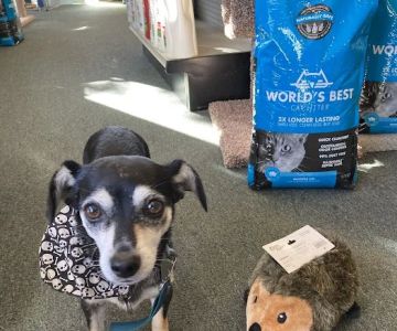 Dolly’s Pet Shoppe