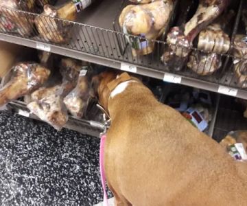 Petco