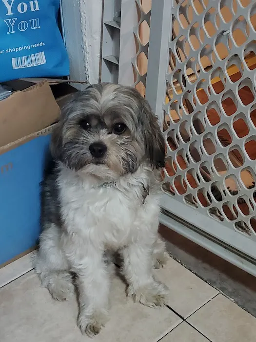 Riverside Veterinary Clinic 3