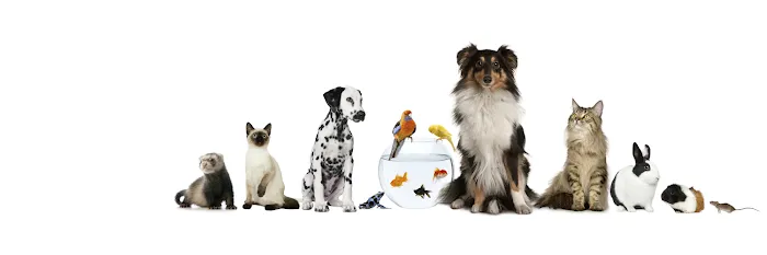 Riverside Veterinary Clinic 1