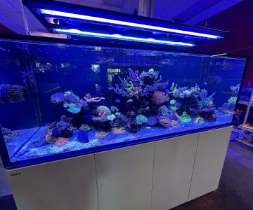 Upscales-Fish & Reptiles LLC