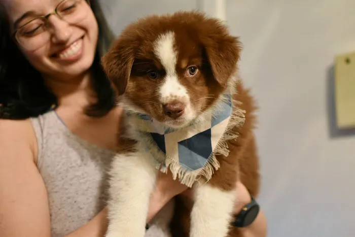 Eastside Animal Hospital: Carlisle Quint DVM 12