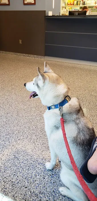 Eastside Animal Hospital 12