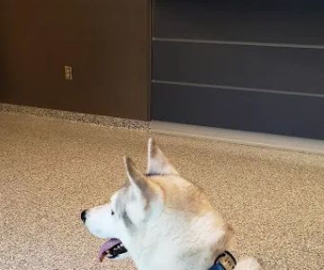 Eastside Animal Hospital