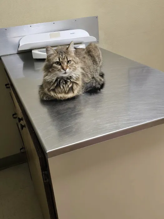 Eastside Animal Hospital 12