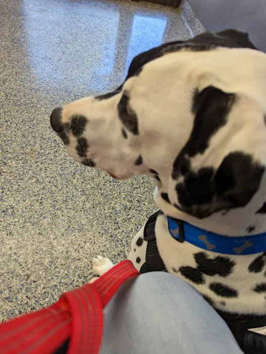 Eastside Animal Hospital 12