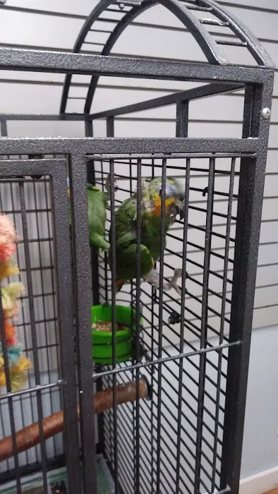 BiZee Bird Store 1
