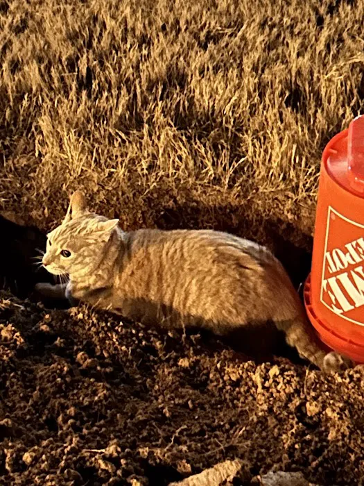 Hope Animal Hospital 12