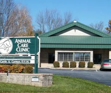 Animal Care Hospital