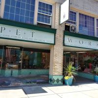 The Pet Works ico