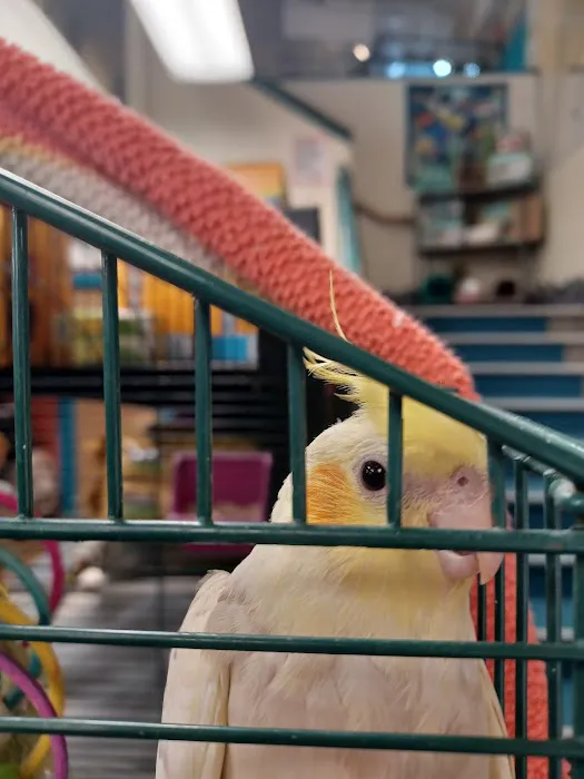 The Pet Works 12