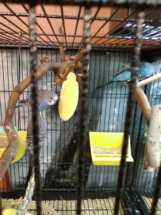 The Pet Works 12