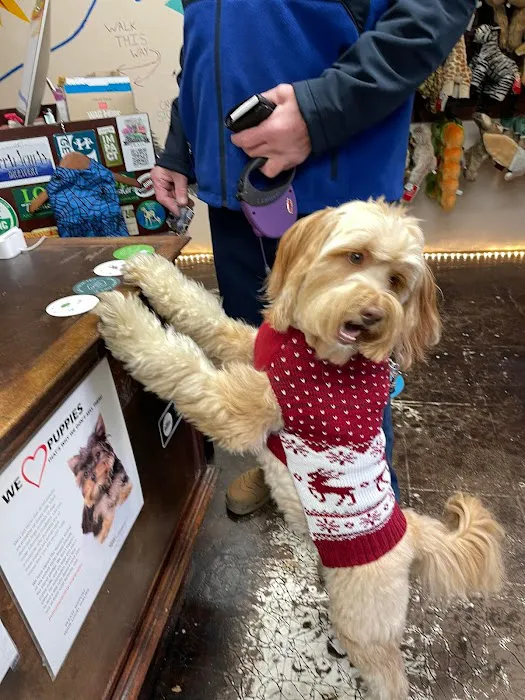 Hendersonville Veterinary Hospital 6