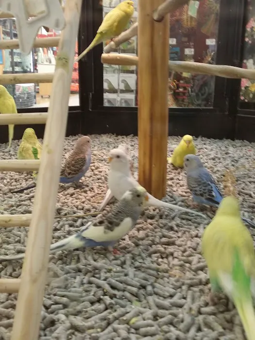 Petco 12