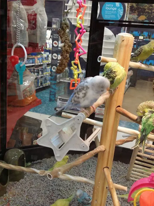Petco 12
