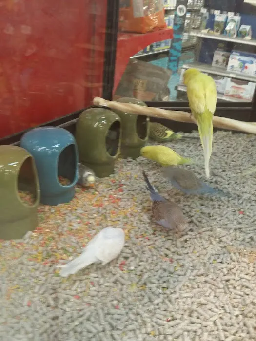 Petco 12