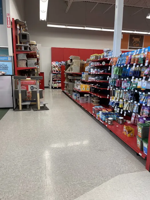 Petco 12