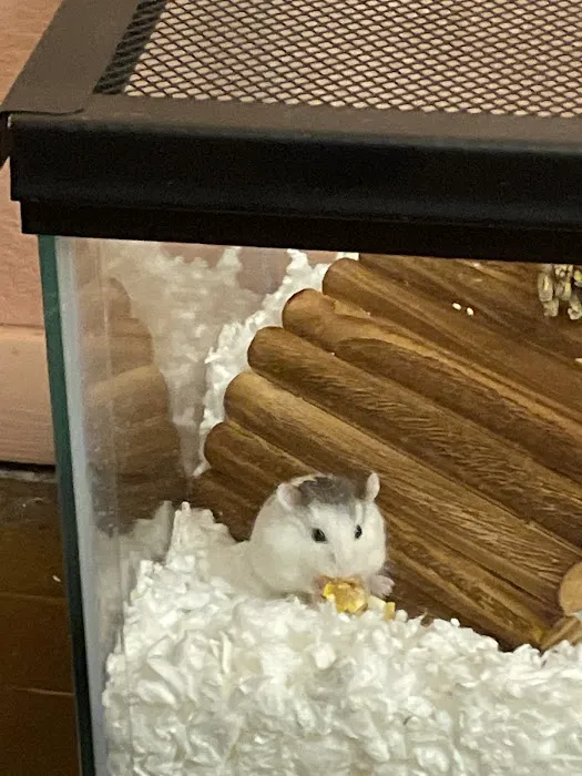 Petco 12