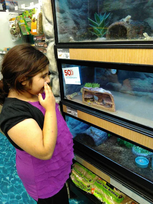 Petco 12