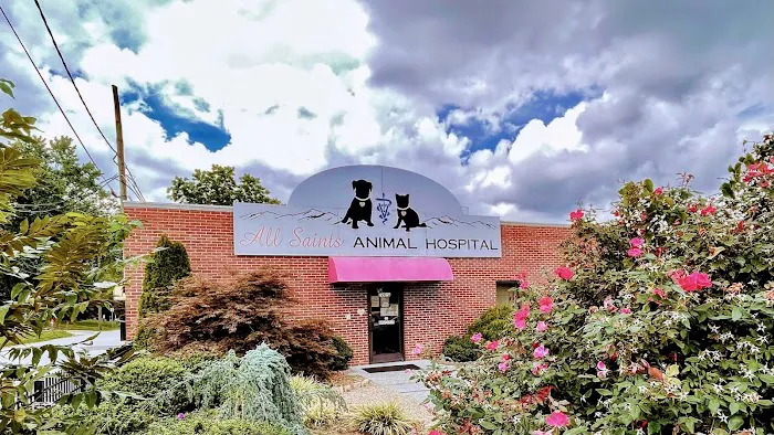 All Saints Animal Hospital 2