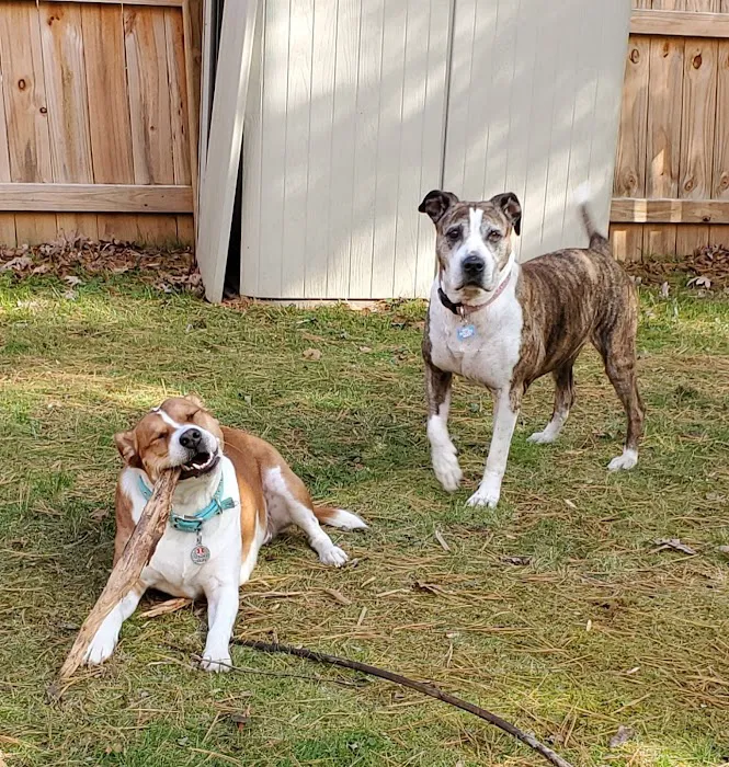 All Saints Animal Hospital 8