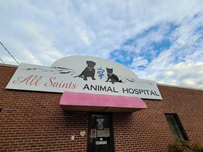 All Saints Animal Hospital 3