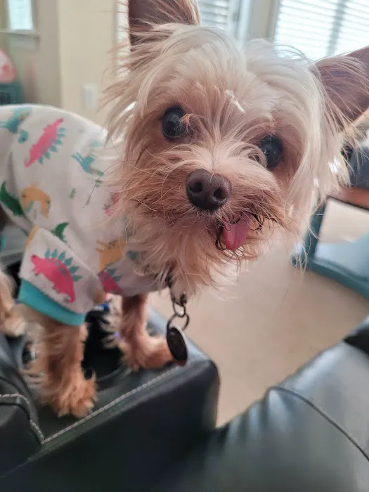 Apple Valley Animal Hospital 12