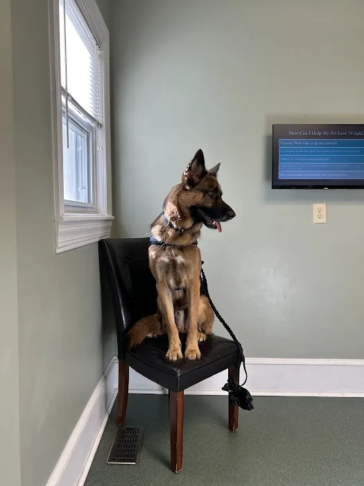 Apple Valley Animal Hospital 12