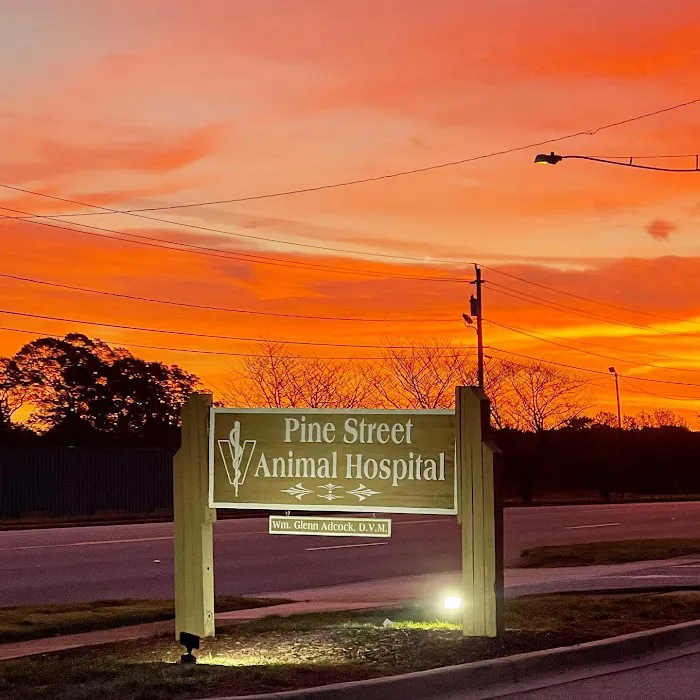 Pine Street Animal Hospital 7