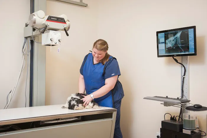 Pine Street Animal Hospital 4