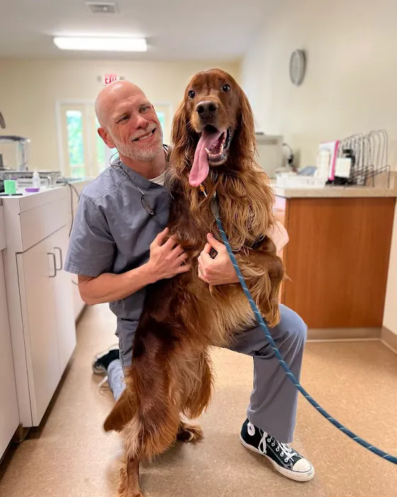 Pine Street Animal Hospital 8