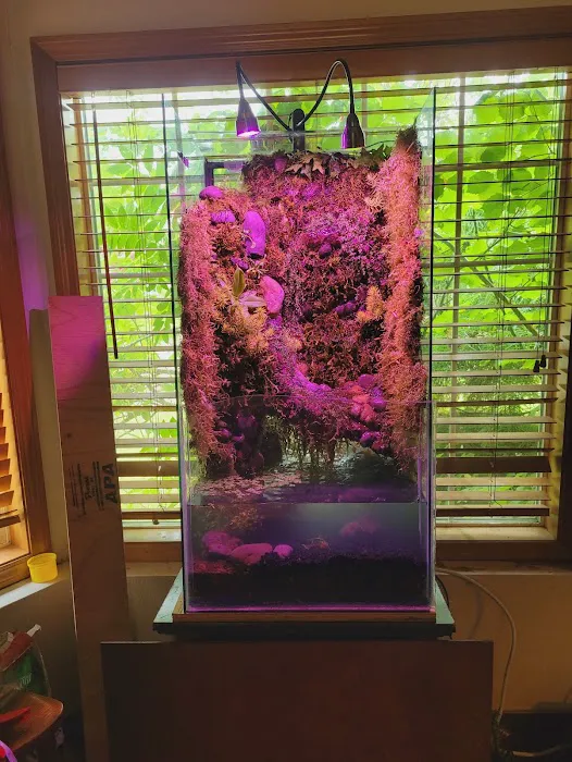 Man O War Aquatics 6