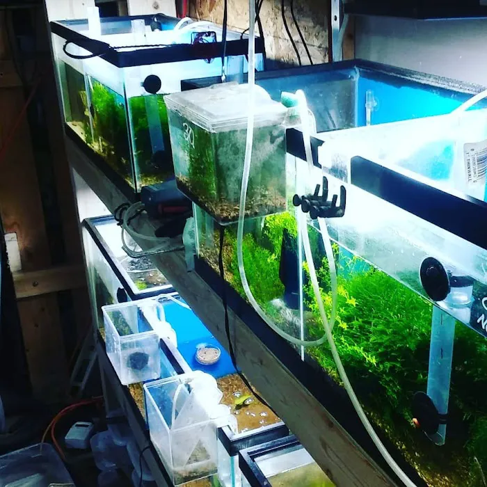 Man O War Aquatics 1