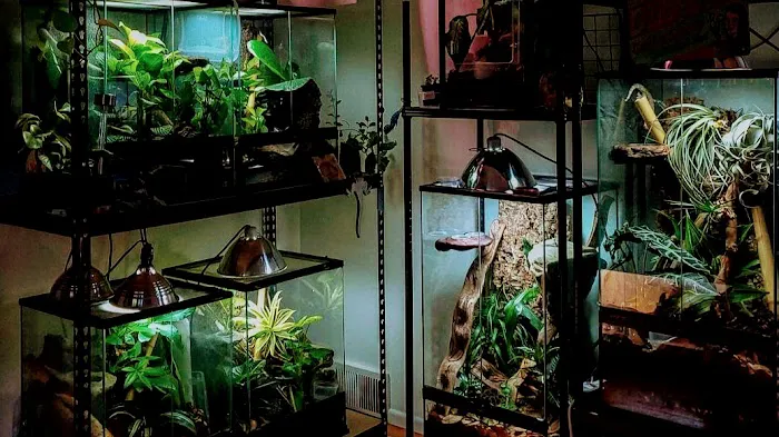 Man O War Aquatics 5