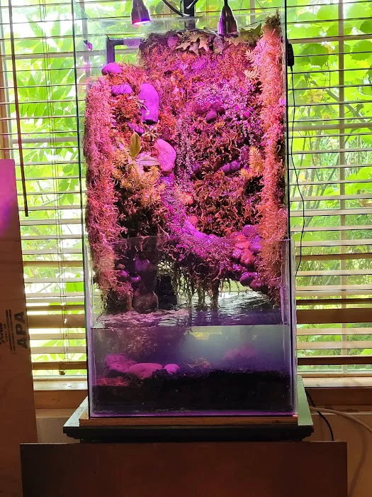 Man O War Aquatics 2