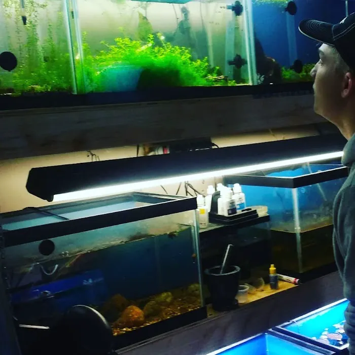 Man O War Aquatics 7