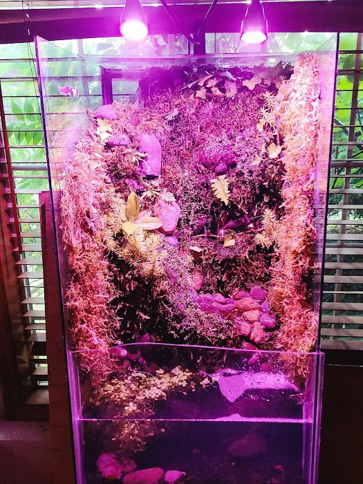 Man O War Aquatics 10