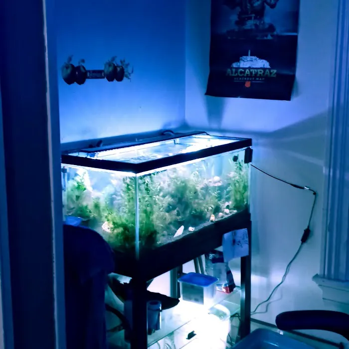 Man O War Aquatics 3