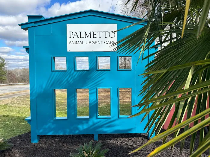 Palmetto Animal Urgent Care 12