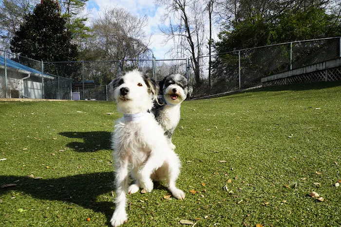 Palmetto Animal Urgent Care 12