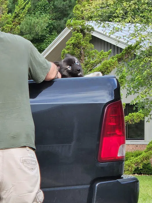 Thunder Road Animal Hospital 7