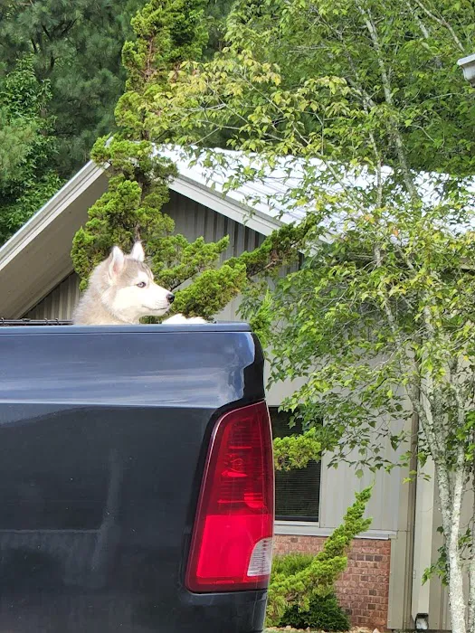 Thunder Road Animal Hospital 6