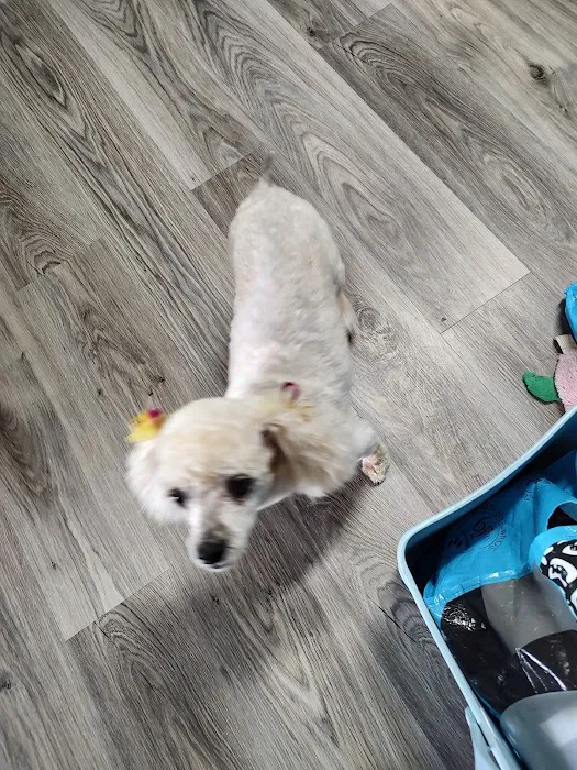 Thunder Road Animal Hospital 4