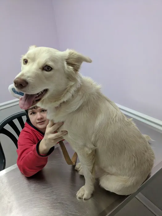 Thunder Road Animal Hospital 5