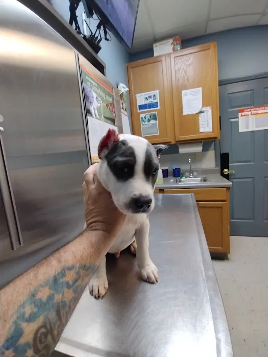 Hinkle's Pet Hospital 3