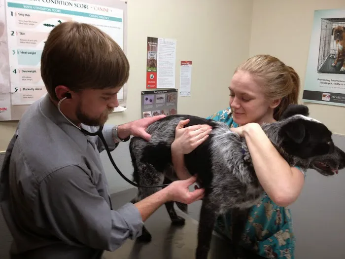 Hinkle's Pet Hospital 10