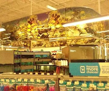 Petco