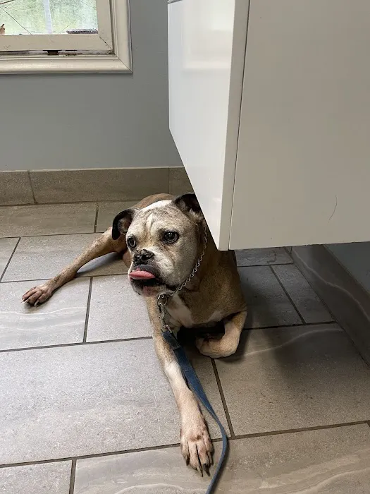 Rutherford Veterinary Hospital 2